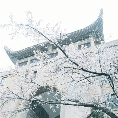 北京平谷法院成立北京市首家“家长法学院”